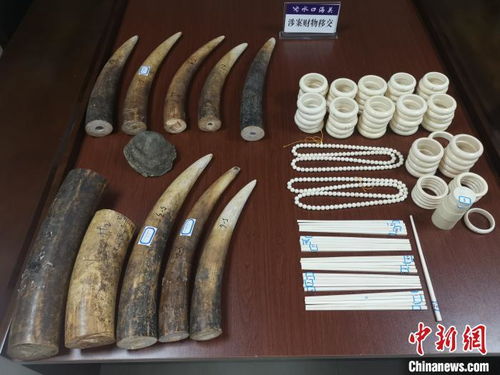 水口海關(guān)向林業(yè)局移交走私動物制品，加強生物資源保護執(zhí)法合作